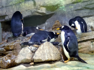 Tierpark Hellabrunn