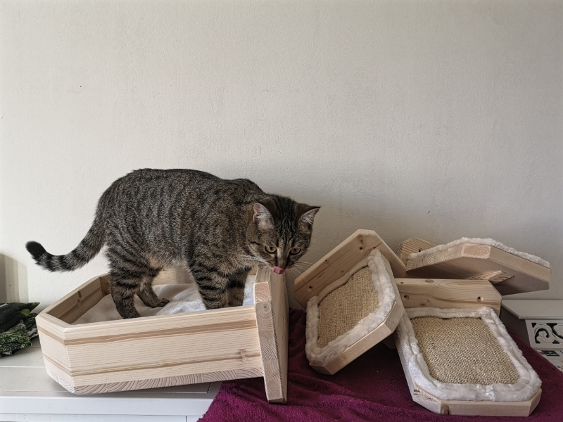 Katzen Kletterwand - katzenbett und Stufen