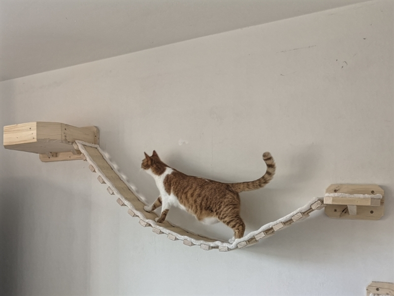 Pablo auf der Katzen Hängebrücke