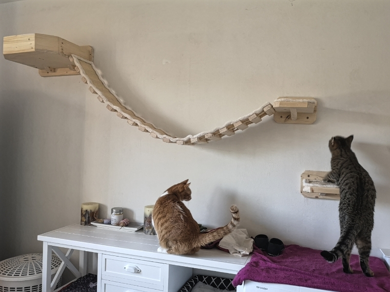 Wand Hängebrücke für Katzen